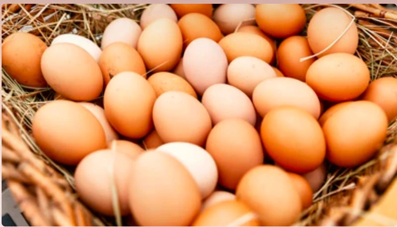 Chuyên gia giải đáp: Khi bị ho nên ăn trứng gà không?